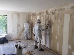 Best Commercial Mold Inspection  in Eldersburg, MD